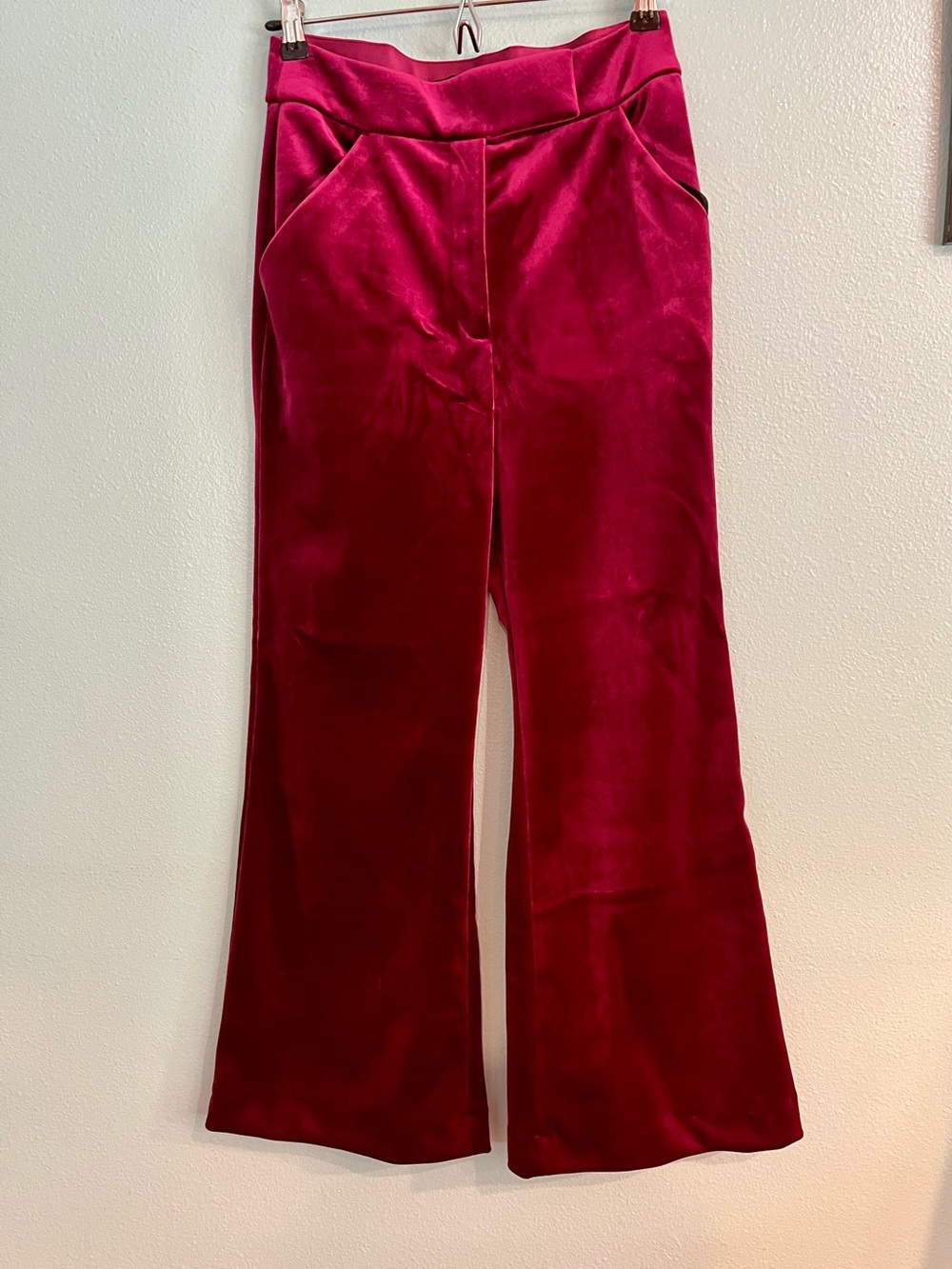 Express Velvet Pants in Deep Magenta